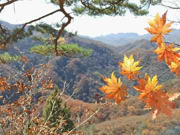 异动快报：中交地产（000736）9月19日10点27分触及涨停板