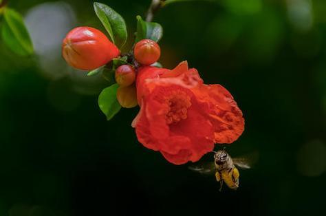 5月29日属于什么季节(农历十月是什么季节)