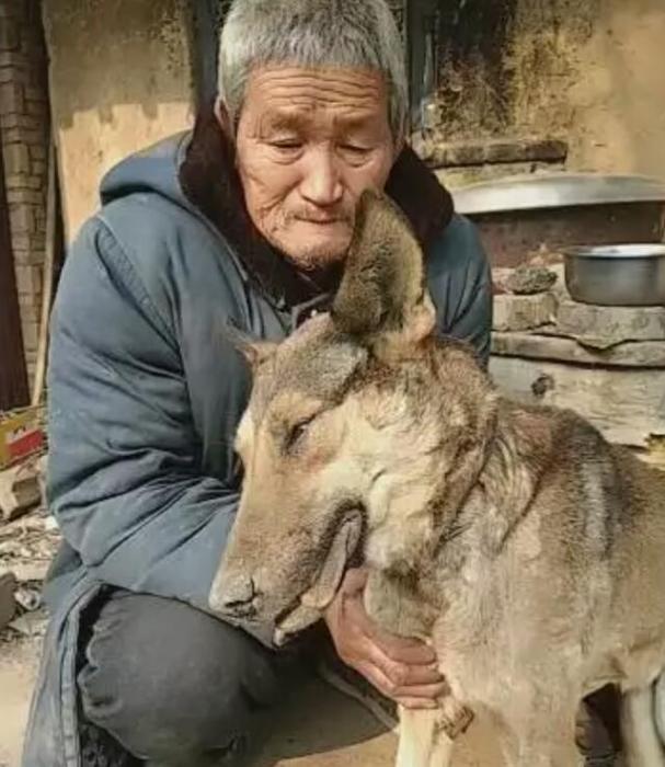 生肖属狗人士也能成为大地上的英雄！