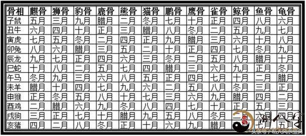 免费生辰八字算事业运势(生辰八字算命几斤几两)