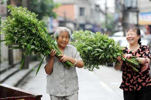 寓意深远：门口挂艾草的文化内涵