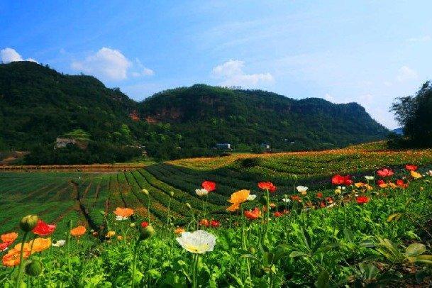 掌握5月19日黄历，顺应天时地利人和！