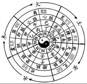 八卦方位代表什么数字(49个数字与八卦方位)