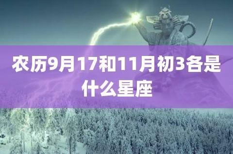 什么是农历十一月十日对应的星座？